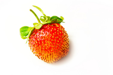 Similar image 1375301