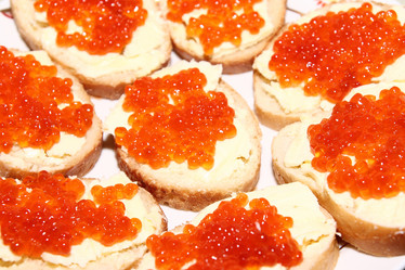 Similar image 1375304