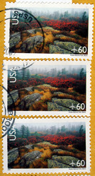 Similar image 1375496