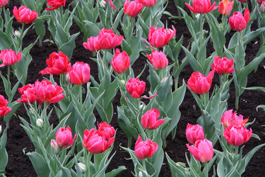 Similar image 1375500