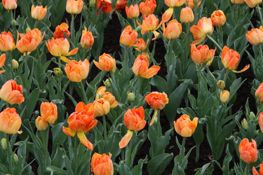 Similar image 1375501