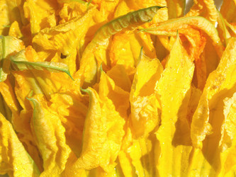 Similar image 1375519