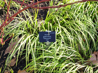 Similar image 1375553