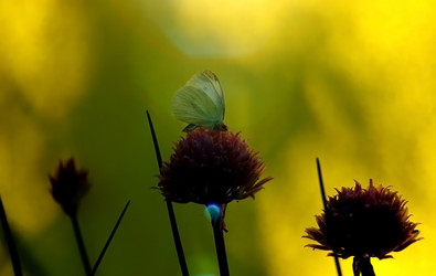 Similar image 1375709