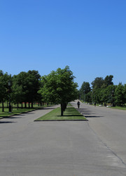 Similar image 1375712