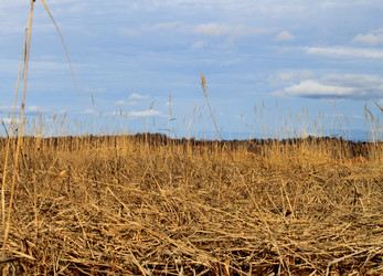 Similar image 1375831