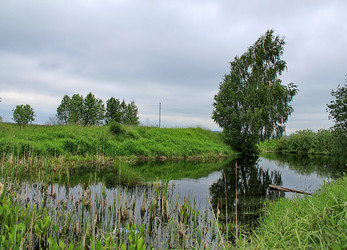 Similar image 1375835