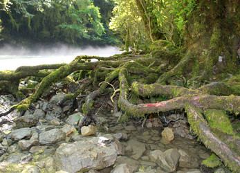 Similar image 1375836