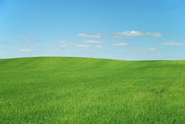 Similar image 1375843