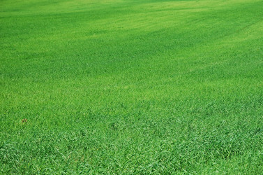 Similar image 1375845