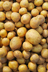 Similar image 1375850