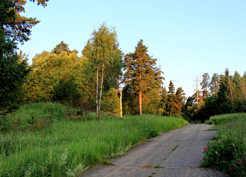 Similar image 1375897