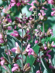 Similar image 1376135