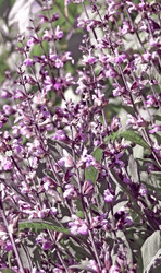 Similar image 1376136