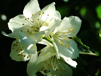 Similar image 1376162