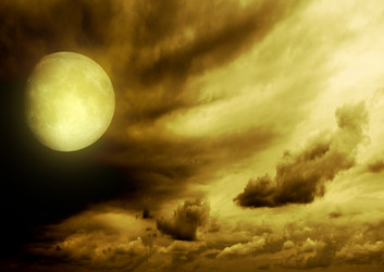 Similar image 1376175