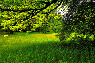 Similar image 1376188