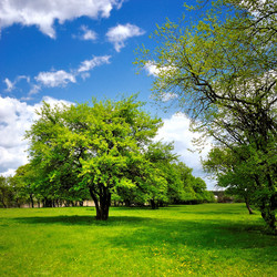 Similar image 1376193