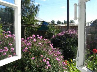 Similar image 1376897