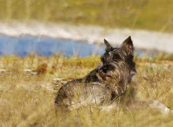 Similar image 1377123