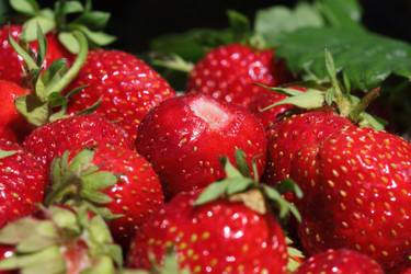 Similar image 1377148