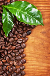 Similar image 1377161