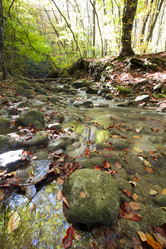 Similar image 1377168