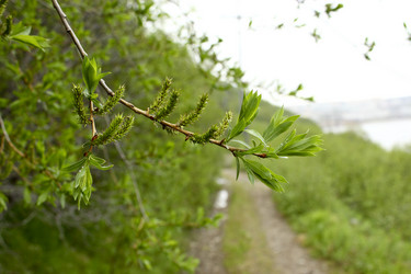 Similar image 1377171