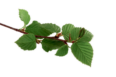 Similar image 1377172