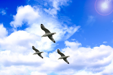 Similar image 1377175