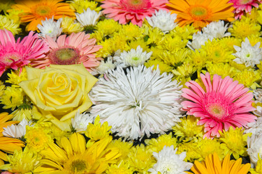 Similar image 1377184