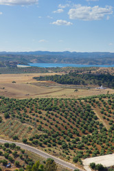 Similar image 1377186