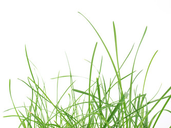 Similar image 1377245