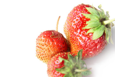 Similar image 1377694