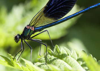 Similar image 1377703