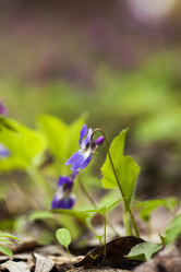 Similar image 1377789