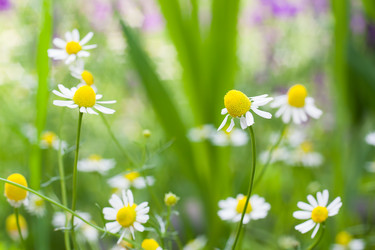 Similar image 1377808