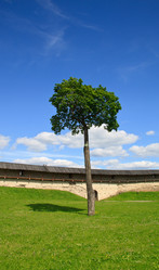 Similar image 1377883