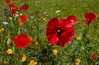 Similar image 1377898