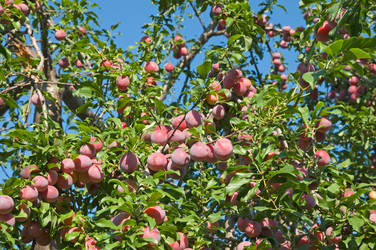 Similar image 1377925