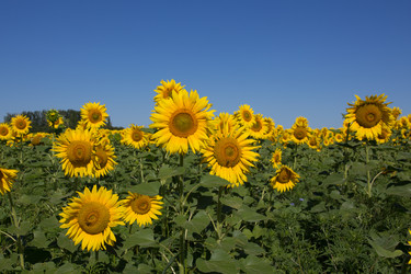 Similar image 1377933