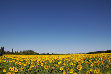 Similar image 1377934