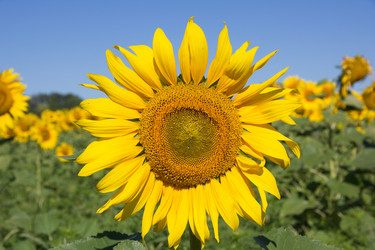 Similar image 1377937