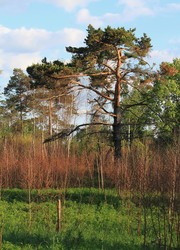 Similar image 1377959