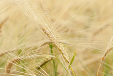 Similar image 1378005