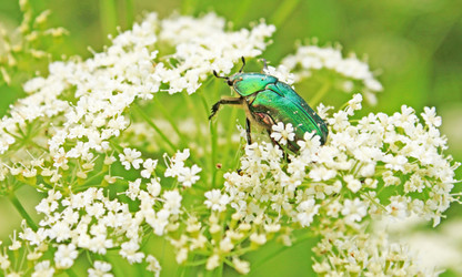 Similar image 1378010