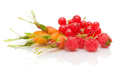 Similar image 1378046