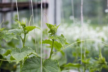 Similar image 1378062