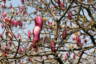 Similar image 1378124