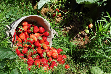 Similar image 1378134